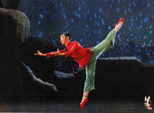 公园分校证书